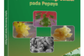 bioteknologi pepaya